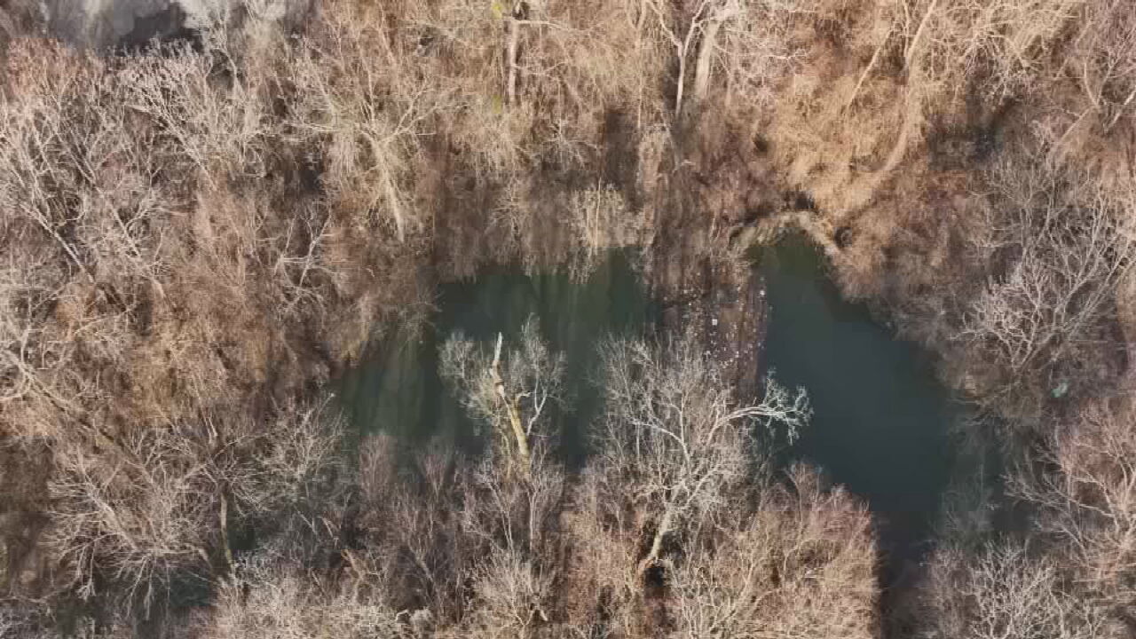 Givaudan plant explosion contaminated Beargrass Creek with 'corn syrup blend,' officials say
